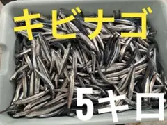 냉동 방어 생선 5kg 낚시 미끼