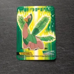 ポケモンキッズ キメわざカード トロピウス こうごうせい