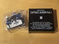 匿名　BTS FESTA CAPSULE ALBUM V LAYOVER テテ