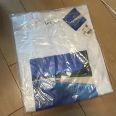 永井博 Hiroshi Nagai POOL Tシャツユニクロ UT