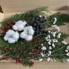 2025年最新】ドライフラワー ナンキンハゼの人気アイテム - メルカリ