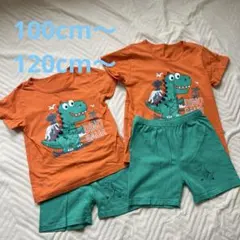 ダイナソー セットアップ 130 110 2着セット