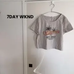 Item thumbnail for item 523ded09-27b1-4e6d-a06c-fc8c9e389798