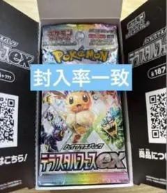 ポケモンカードゲーム テラスタルEX 封入率一致
