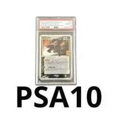 ブラッキー 25th PSA10