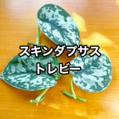 daikon様 リクエスト 3点 まとめ商品