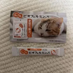 Item thumbnail for item cc9bb14a-9836-4192-a828-34c596208c88