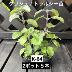 スノー様 リクエスト 2点 まとめ商品
