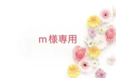 m様専用【ハンドメイド】デニムバッグ　ハンドルカバー　ファミリアチェック