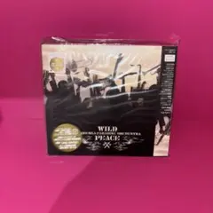 東京スカパラダイスオーケストラ / WILD PEACE