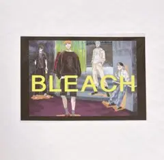 BLEACH ブリーチ ポストカード TGC