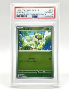 【PSA10】ニャオハ サマープロモ 2026年最新】ポケモンカード プロモ ニャオハの人気アイテム - メルカリ