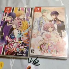 キューピット・パラサイト Nintendo Switch 2本セット