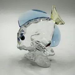 スワロフスキー SWAROVSKI SCS20 フィギュア ナンヨウハギ 箱付