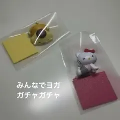 サンリオ⭐︎みんなでヨガ　ハローキティ&ポムポムプリン