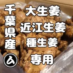 千葉県産 三州生姜 種生姜 5kg 小生姜 - メルカリ