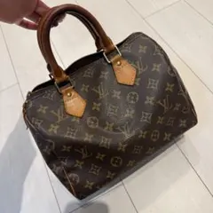 専用　LOUIS VUITTON スピーディー25 モノグラムのサムネイル