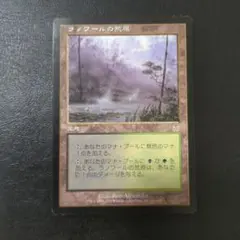 2026年最新】ラノワールの荒原の人気アイテム - メルカリ