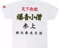 Item thumbnail for item 3f8259a9-6af3-447e-9af1-4ada9bdc33c8