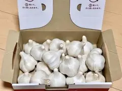 自家栽培 にんにく ホワイト六片 約1kg 産地直送のサムネイル