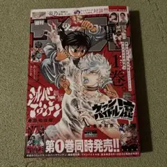 週間少年サンデー41