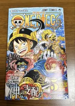 ONE PIECE 113