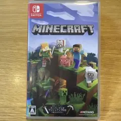 「訳あり」Minecraft Nintendo Switch