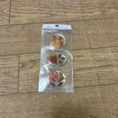 Item thumbnail for item a24da956-c28f-47c4-9507-c30db6658920