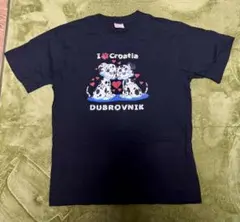 Item thumbnail for item dd0c161c-4060-4b3a-b62e-3672b99615e5