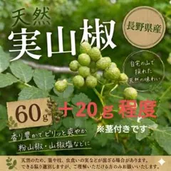 長野県産 完全天然 実山椒 30g＋10g無農薬 ★期間限定（７月９日〜１２日）のサムネイル