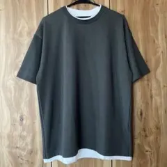 season reason PUNYUS fit Lサイズ Tシャツ グレーのサムネイル