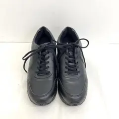 Item thumbnail for item c93aa9c9-5c53-4647-9965-462a34e1dd0d