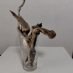 Item thumbnail for item 881550b0-faf6-4bdd-a956-a0570a5764d8