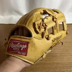 ローリングス グローブ