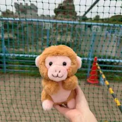 市川市動植物園 ハッピーズー ぬいぐるみくじ 4等 さる 猿 パンチくん