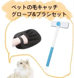 Item thumbnail for item 574d161d-42ca-45e1-915c-7a1bc56cb5e4