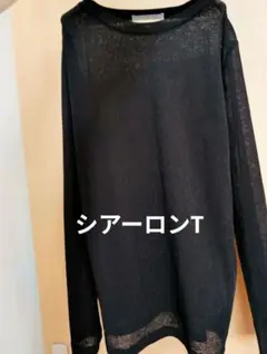ブラック 長袖 Tシャツ　シアー Lサイズ