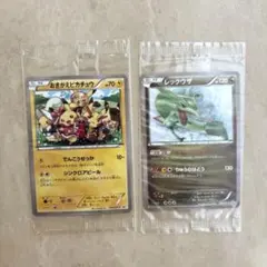 おきがえピカチュウとレックウザカードセットのサムネイル