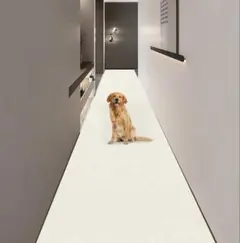 Item thumbnail for item 65fcf6ef-8ae4-4b3a-9e3a-67a3d62c1c25