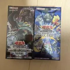 遊戯王OCG アニメーションクロニクル 2022 セレクション10 セット