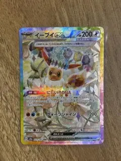 イーブイex SAR SV8a テラスタルフェスex 223/187