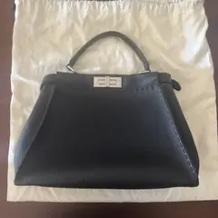 2025年秋冬モデル FENDI セレリア ピーカブー アイシーユー スモール