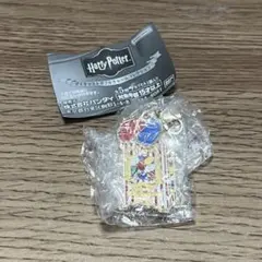 ハリーポッター ダイキャストダブルチャームコレクション〜百味ビーンズ〜