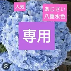 22가노 전용 아이템 3개