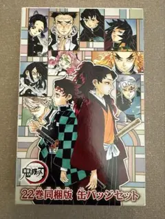 鬼滅の刃 22巻同梱版 缶バッジセット 未開封