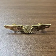 60年代 米軍ベトナム戦 実物 パラシュートバッジ - メルカリ