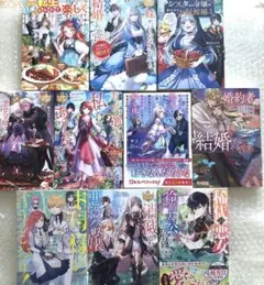 セット　小説 レジーナブックス　ベリーズファンタジー　DENGEKI 607-1865-