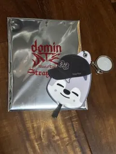 straykids スキズ スタジアム ミニうちわキーホルダー バンチャン