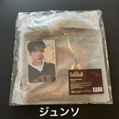 ALD1 仁川 ペンコン MD ミニポーチバッグ サンウォン - メルカリ