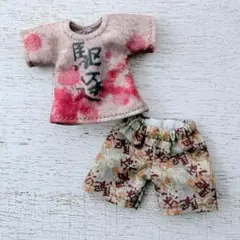 オビツ11／NDどーるサイズ・Tシャツ+パンツの2点セットのサムネイル